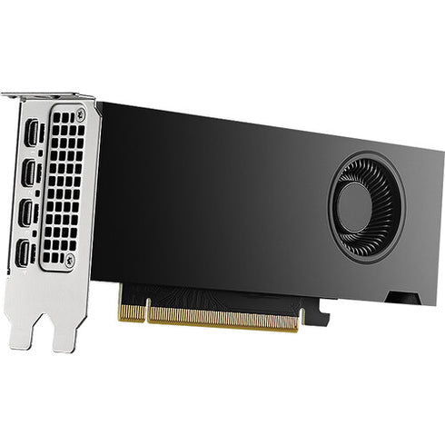 PNY NVIDIA RTX 2000 Ada Generation Graphics card, 16 GB GDDR6