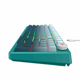 HAVIT Mechanical Keyboard White + Green KB899L RGB