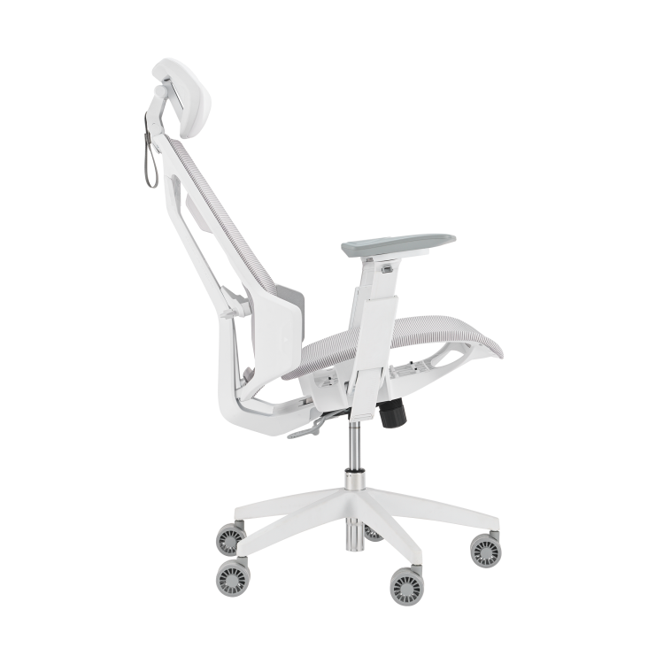 ASUS ROG Destrier Core Ergo Gaming Chair 3D Armrest Mesh 125° Recline Mobile Gaming Mode - Moonlight White
