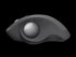 Logitech MX ERGO Advanced Wireless Trackball Mouse - Anigma