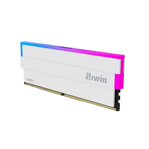 Biwin Black Opal DW100 DDR5 White side view