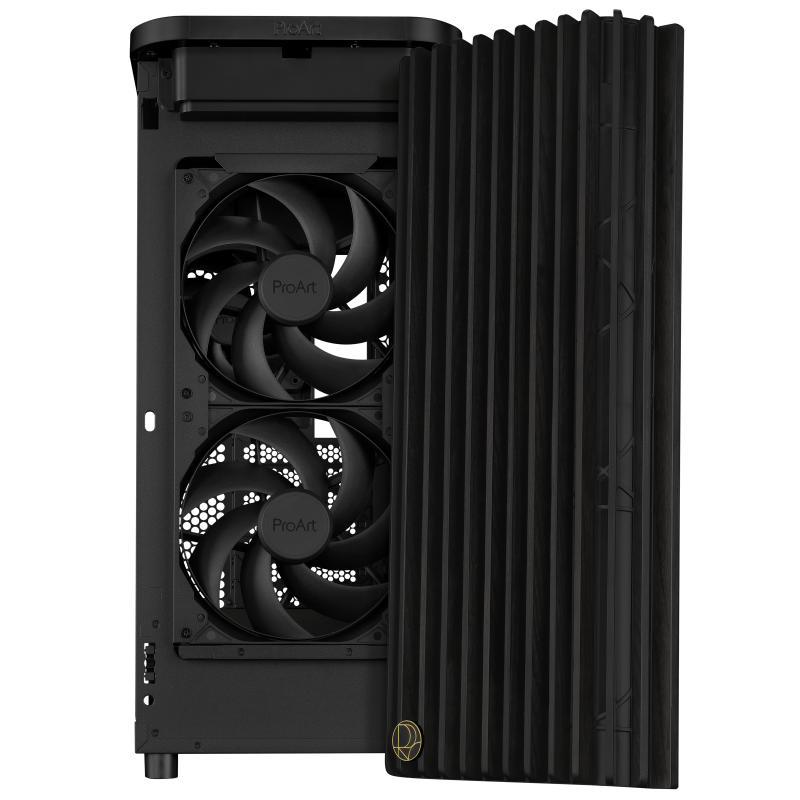 ASUS ProArt PA401 Wood Edition TG Black - Front Angle