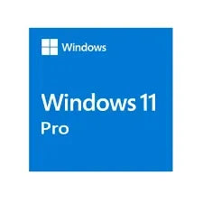 Windows 11 Pro - Anigma